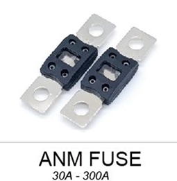 ANL Gold & Nickel Fuse for High-Power Car Audio
